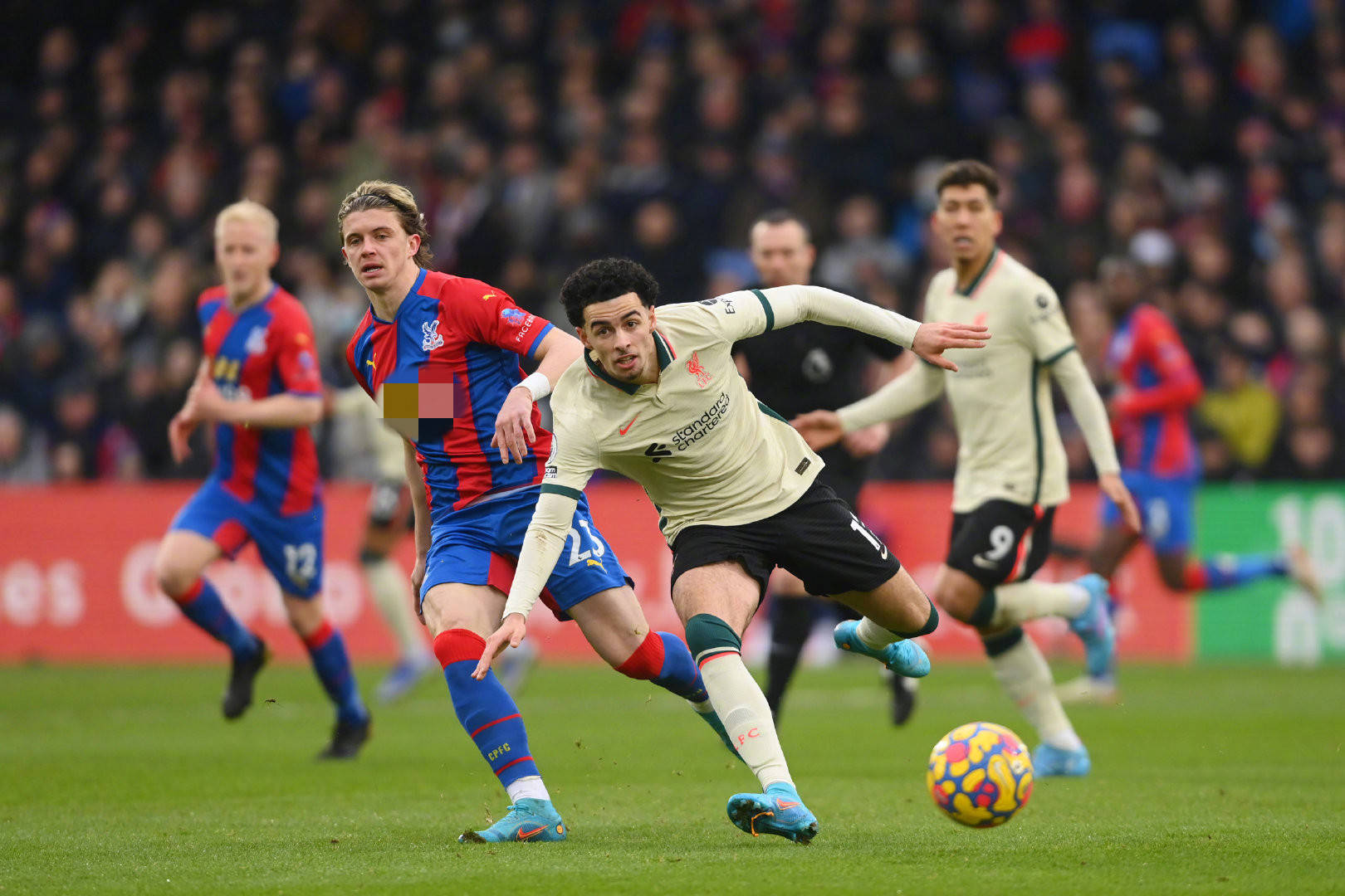 代表比利时 代表比利时