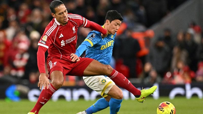 稳定习惯 稳定习惯